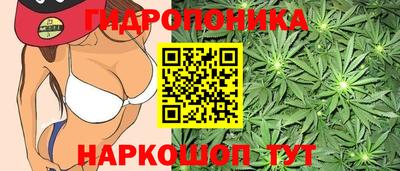 МДМА Камышлов