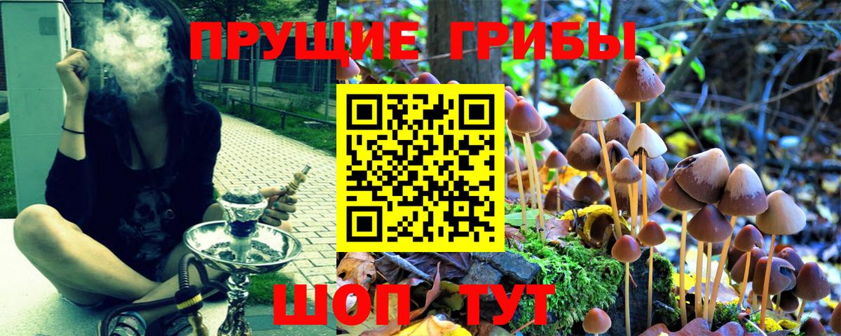 Галлюциногенные грибы Magic Shrooms  Псилоцибиновые грибы Magic Shrooms  продажа наркотиков  Коммунар  Вход с VPN 
