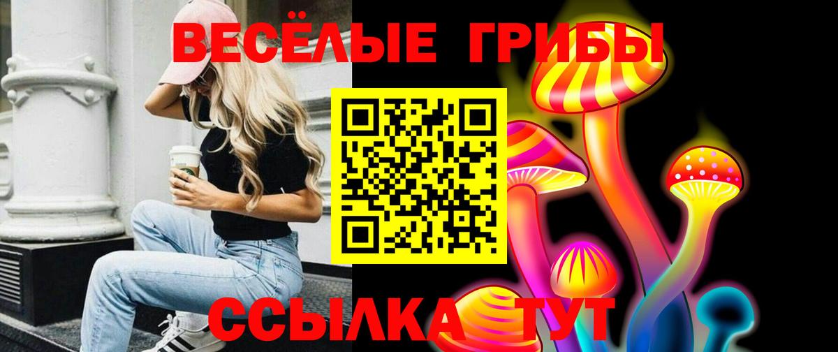 Галлюциногенные грибы GOLDEN TEACHER Коммунар